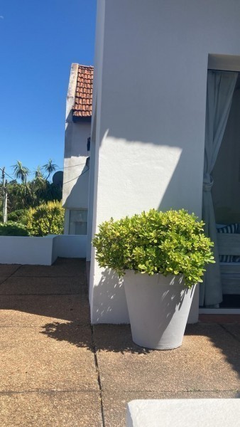 Departamento en alquiler en La Barra de la ruta al mar